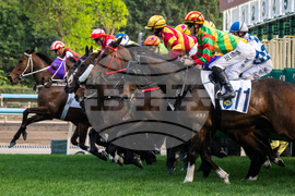 Hong Kong Lunar New Year