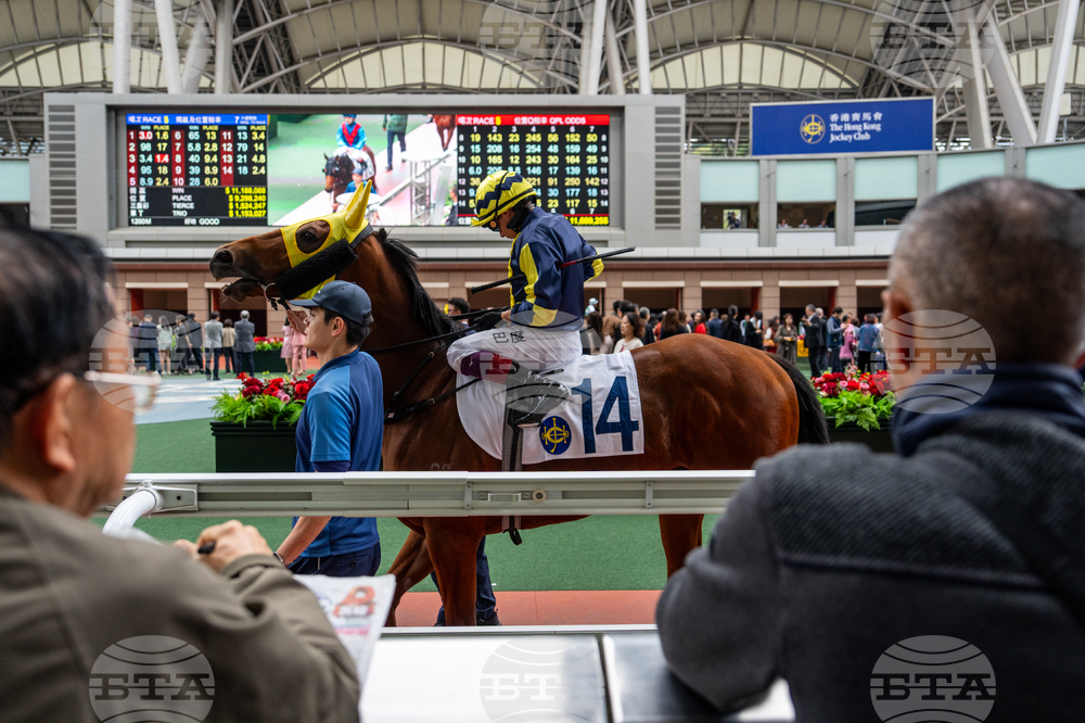 Hong Kong Lunar New Year