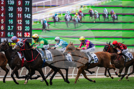 Hong Kong Lunar New Year