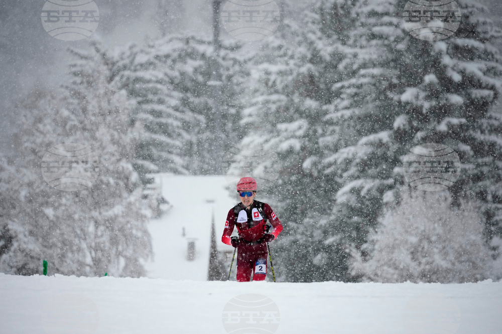 Milan Cortina Olympics Ski Mountaineering