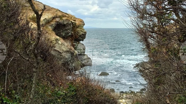 Доброволци откриха разлив на нефтен продукт в района на последните координати на изчезналия край Маслен нос риболовен кораб