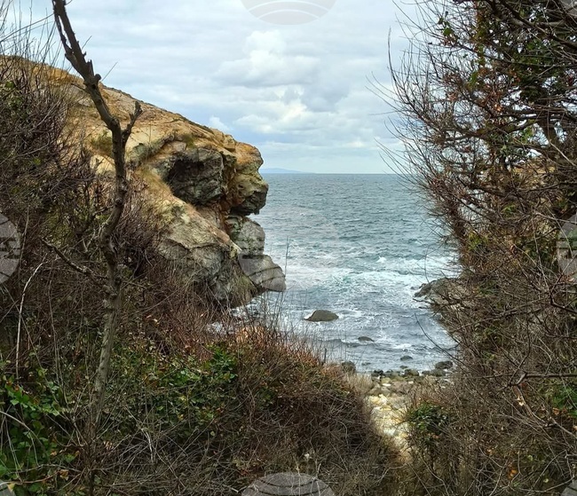 Открит е рибарският кораб в района на Маслен нос, съобщиха от Министерството на отбраната