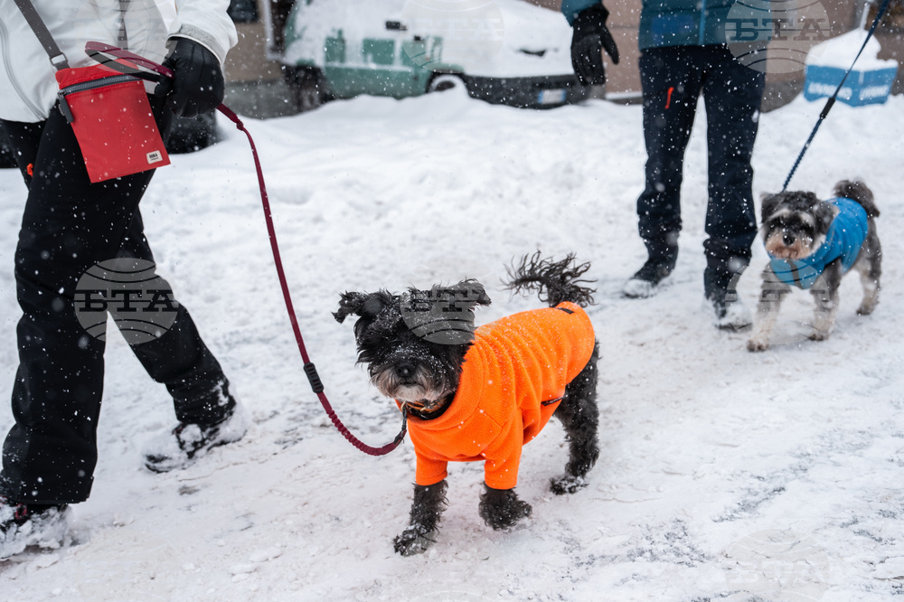 Milan Cortina Olympics