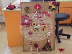 Кърджали - СУ „Й. Йовков“ - Валя Балканска