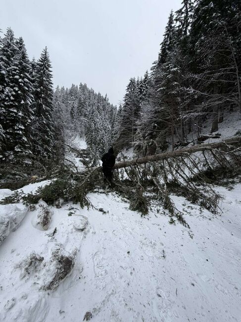 Смолянските села Мугла и Киселчово трети ден са в бедствено положение