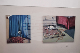 Плевен - изложба