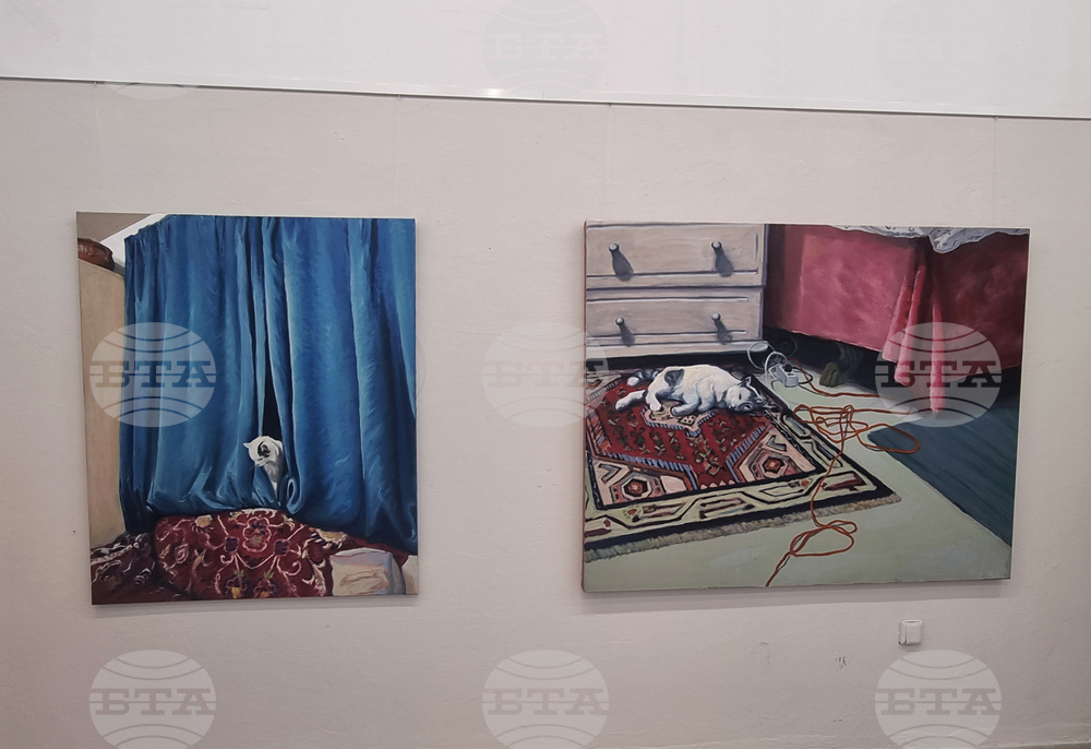 Плевен - изложба