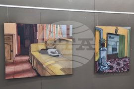 Плевен - изложба