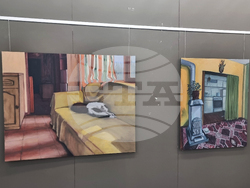 Плевен - изложба