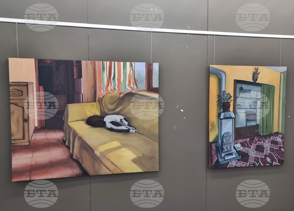 Плевен - изложба