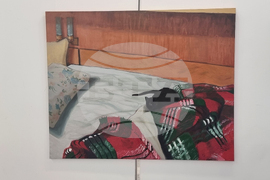 Плевен - изложба