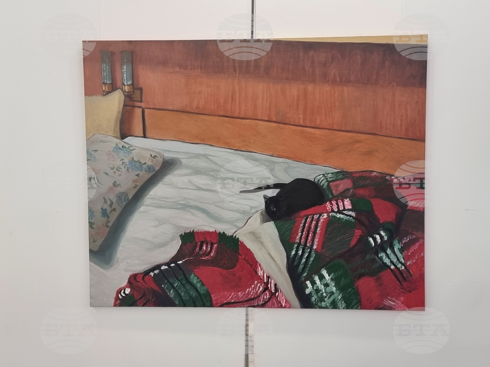 Плевен - изложба