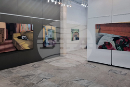 Плевен - изложба