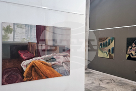 Плевен - изложба