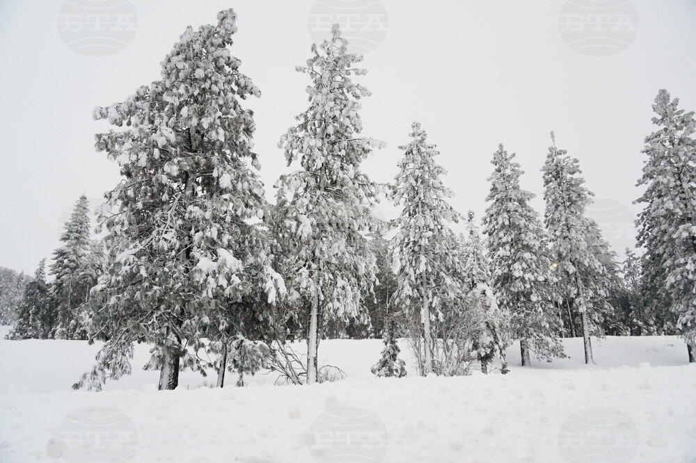 California Avalanche