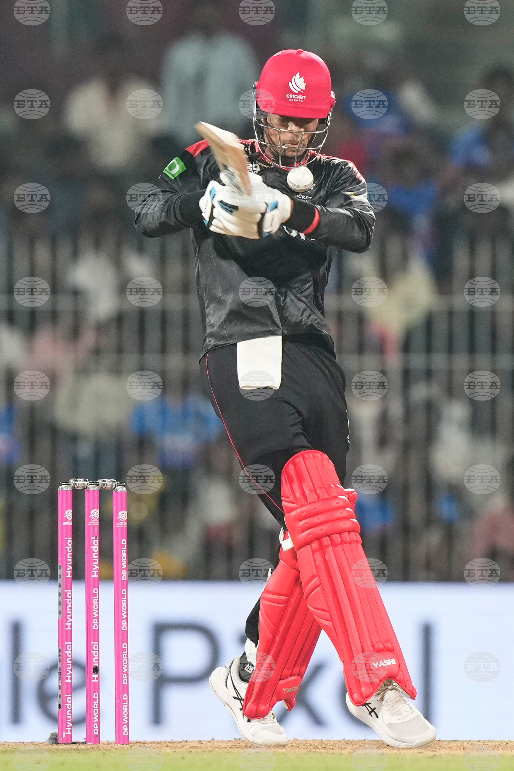 Afghanistan Canada T20 WCup Cricket