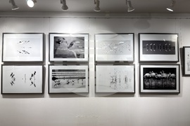 Казанлък - Жечо Планински - изложба - „Черно-бяло“