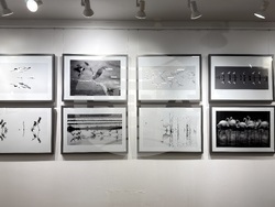 Казанлък - Жечо Планински - изложба - „Черно-бяло“