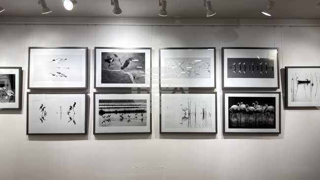 Бургаският фотограф Жечо Планински представи в Казанлък първата си самостоятелна изложба "Черно-бяло"