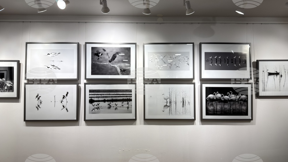 Бургаският фотограф Жечо Планински представи в Казанлък първата си самостоятелна изложба "Черно-бяло"