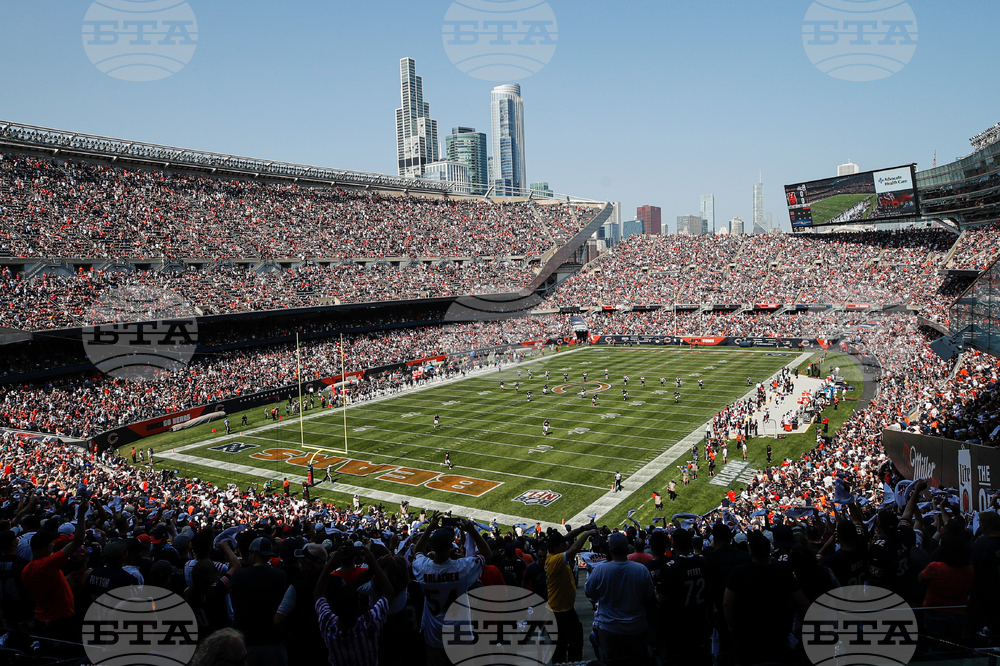 Bears Stadium Football