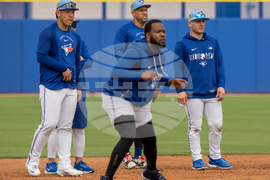 Blue Jays Baseball