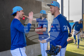 Blue Jays Baseball