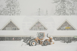 APTOPIX California Avalanche