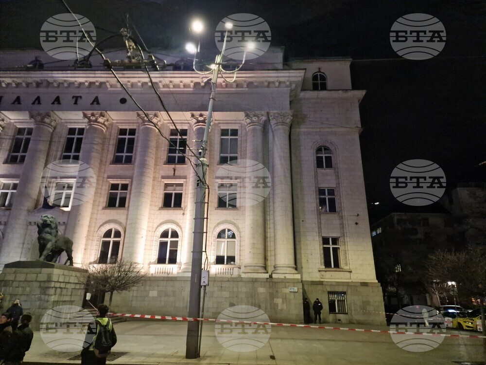 Протест - Евгения Владимирова - убийство