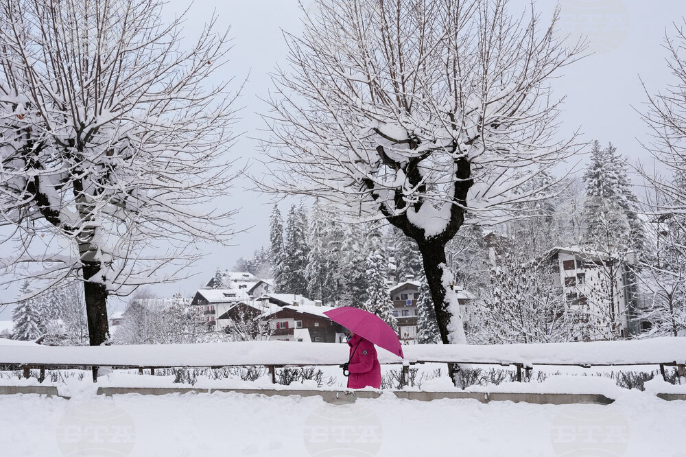 Milan Cortina Olympics Daily Life