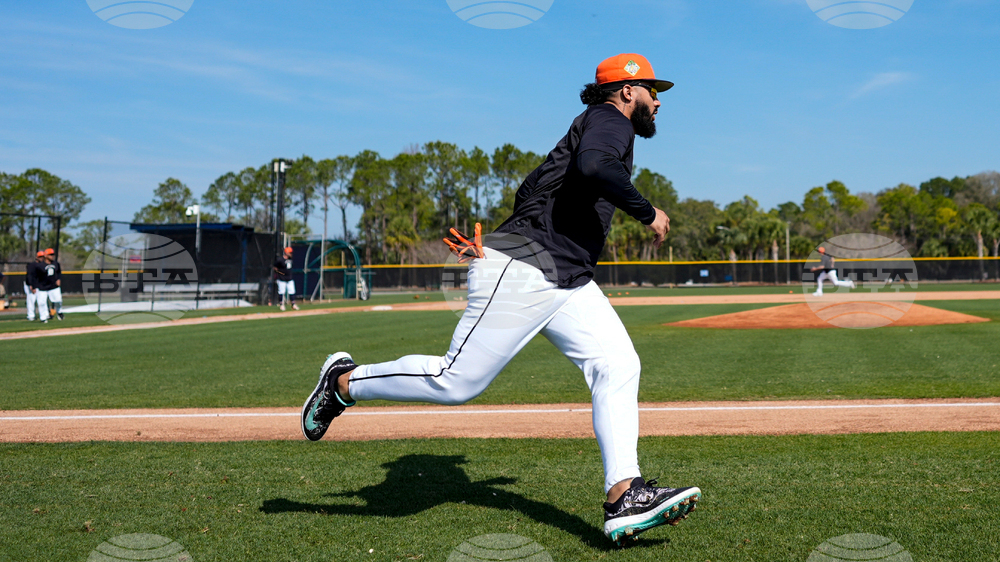 Tigers Spring Baseball