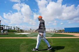 Tigers Spring Baseball