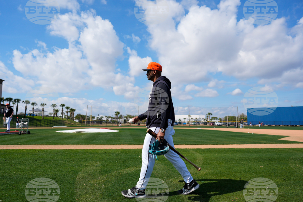 Tigers Spring Baseball