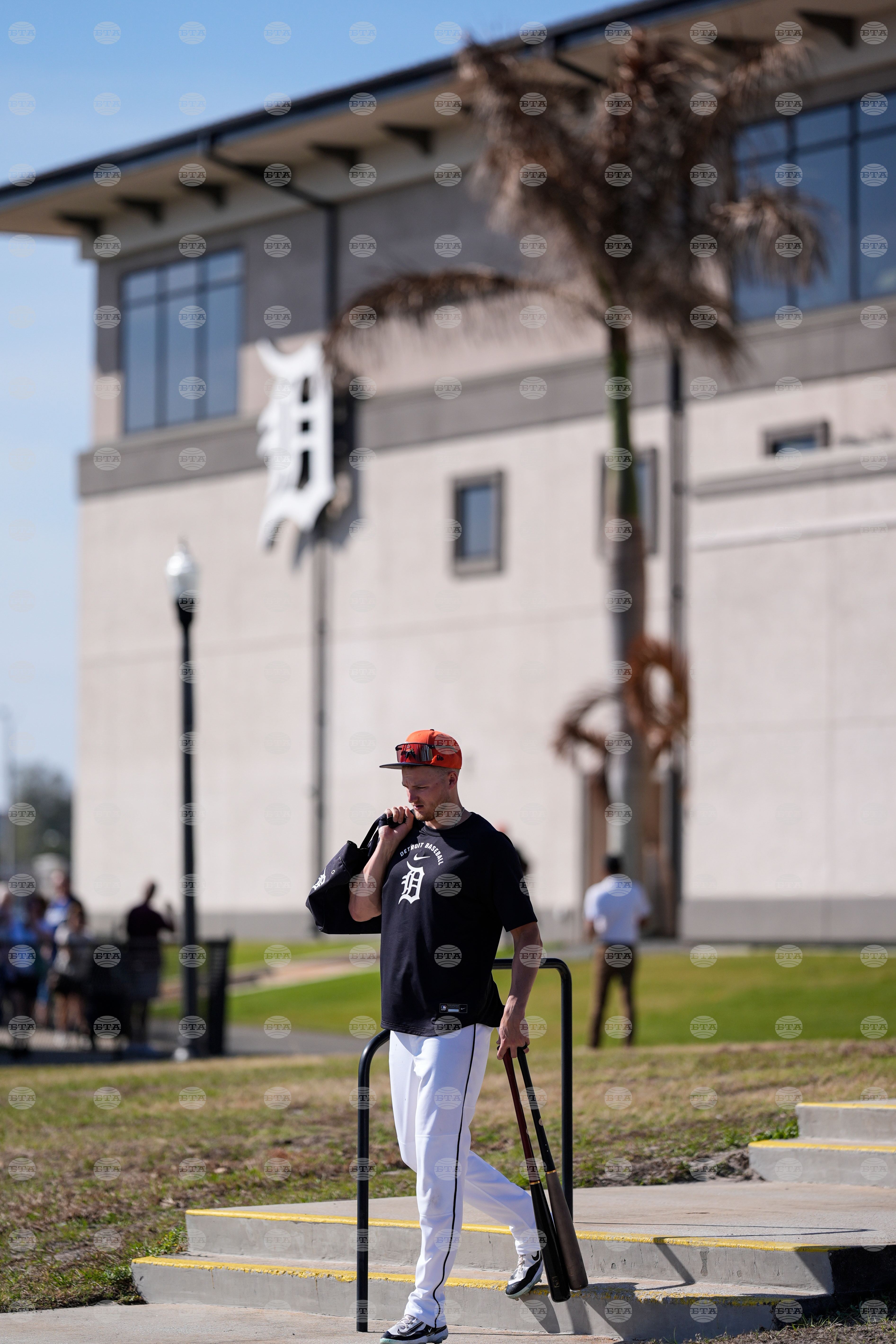 Tigers Spring Baseball