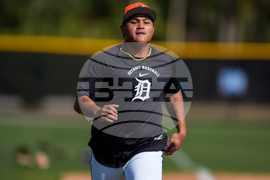 Tigers Spring Baseball