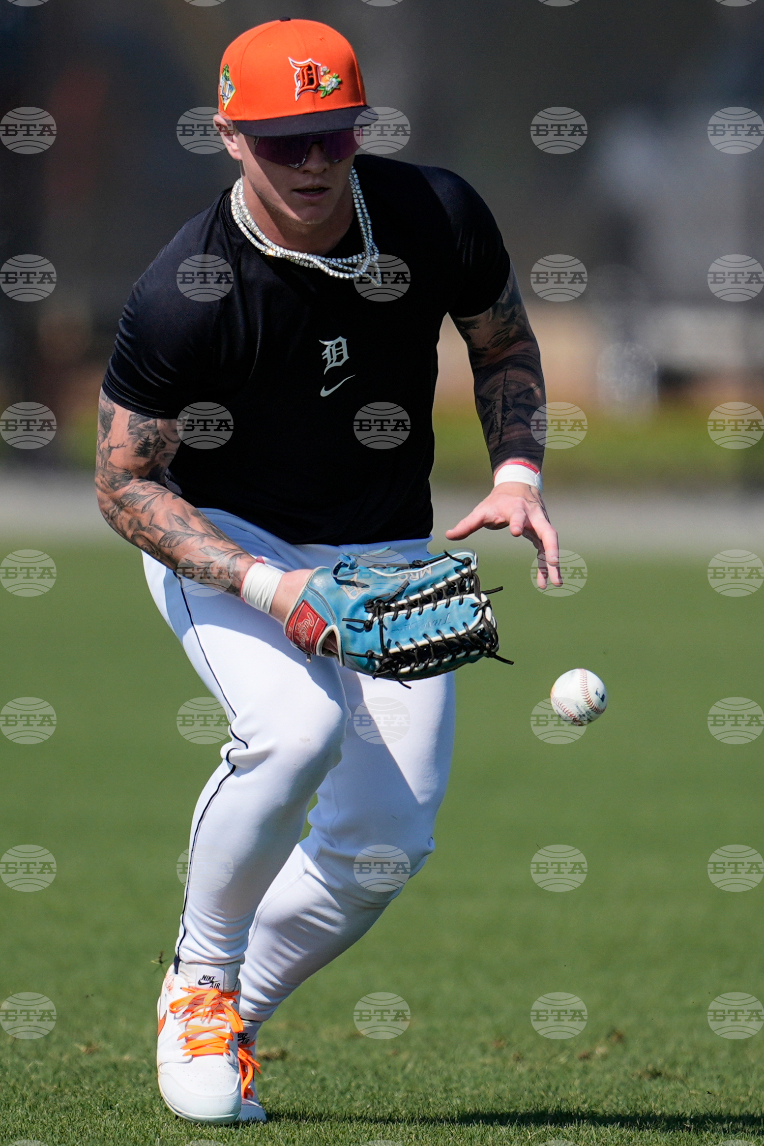 Tigers Spring Baseball