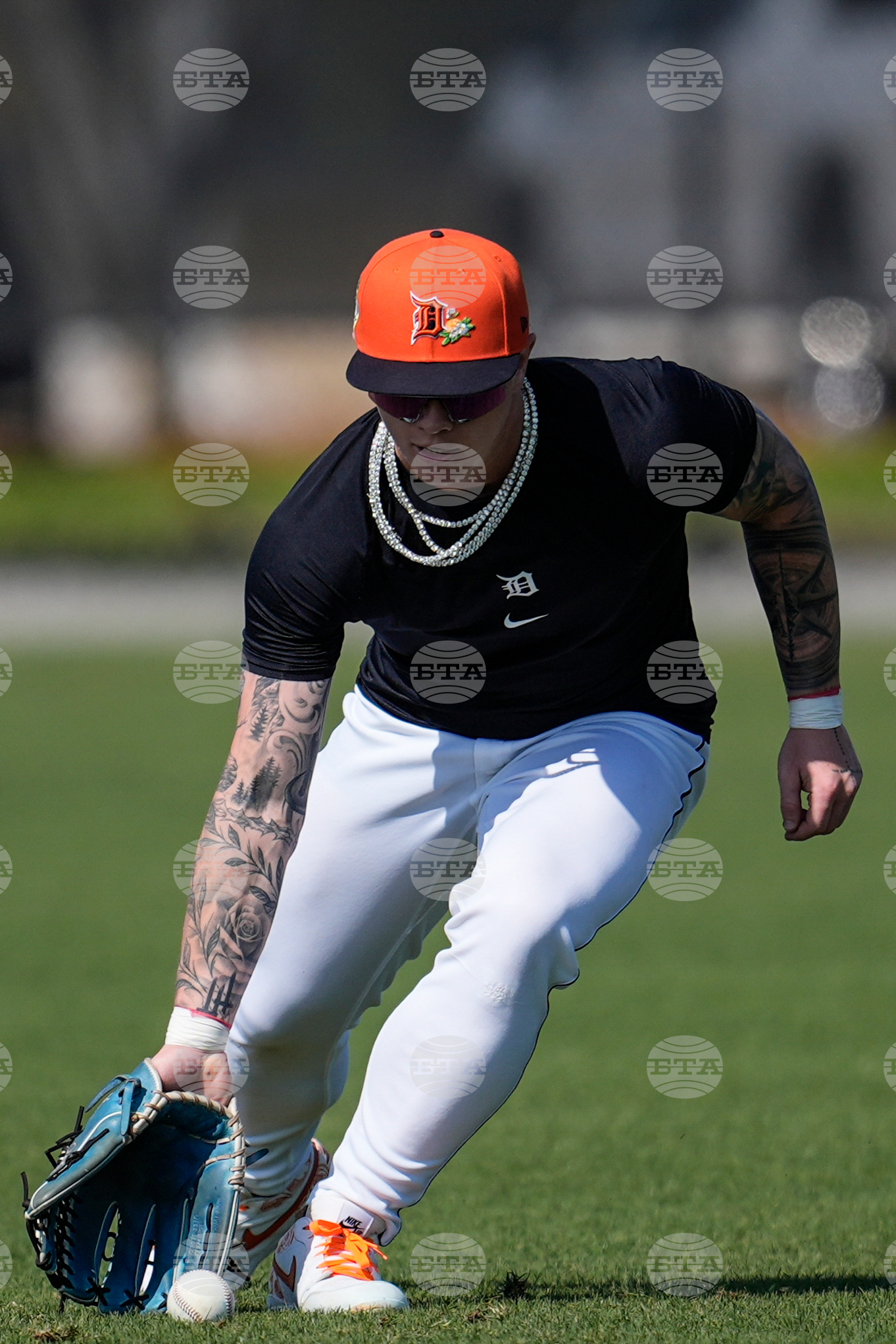 Tigers Spring Baseball