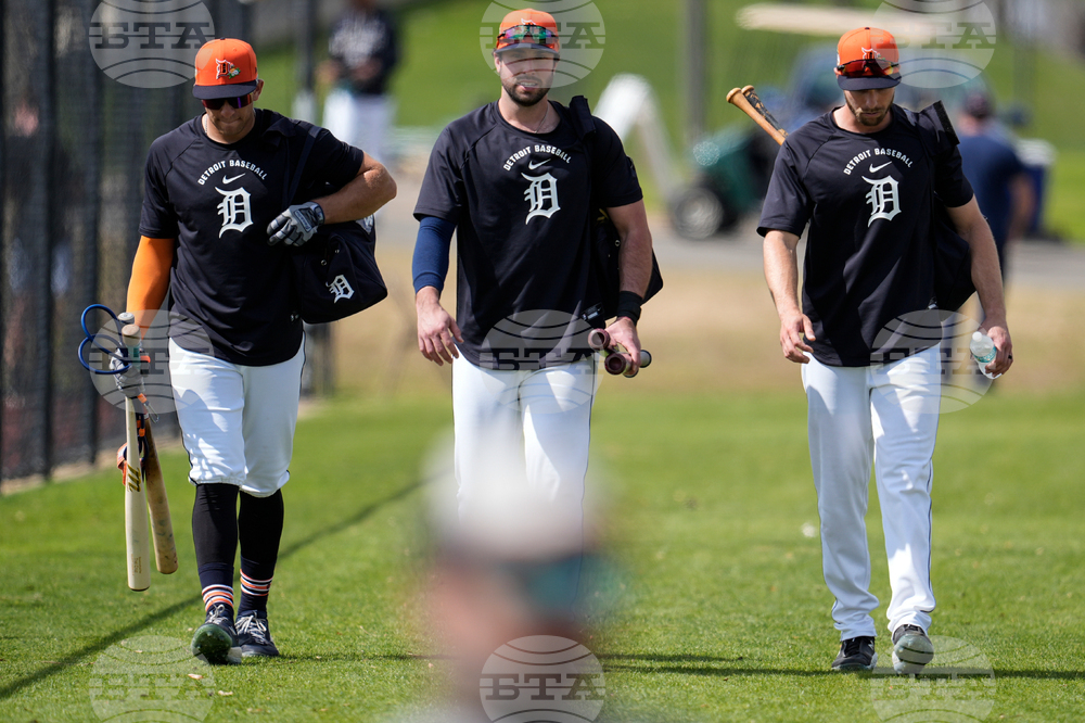 Tigers Spring Baseball