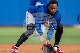 Blue Jays Spring Baseball