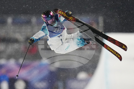 Milan Cortina Olympics Freestyle Skiing