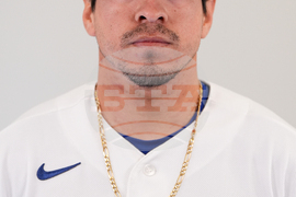 Dodgers 2026 Baseball