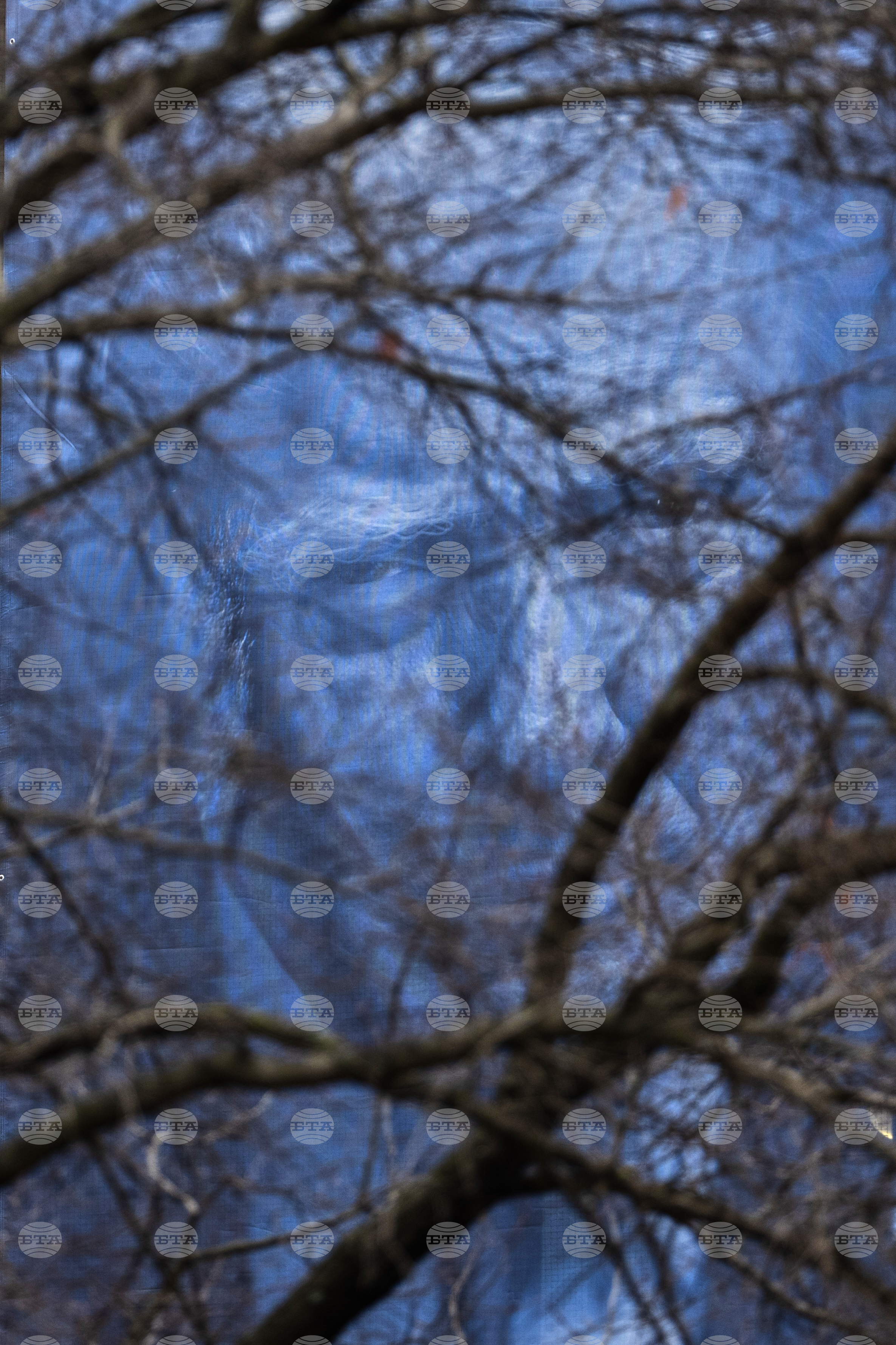 Trump Justice Department