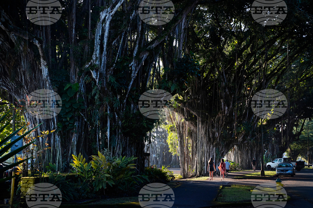 Hawaii Revitalizing Banyan Drive