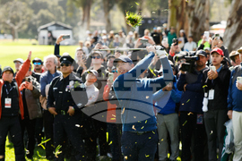 Genesis Invitational Golf