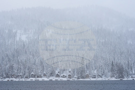 California Avalanche