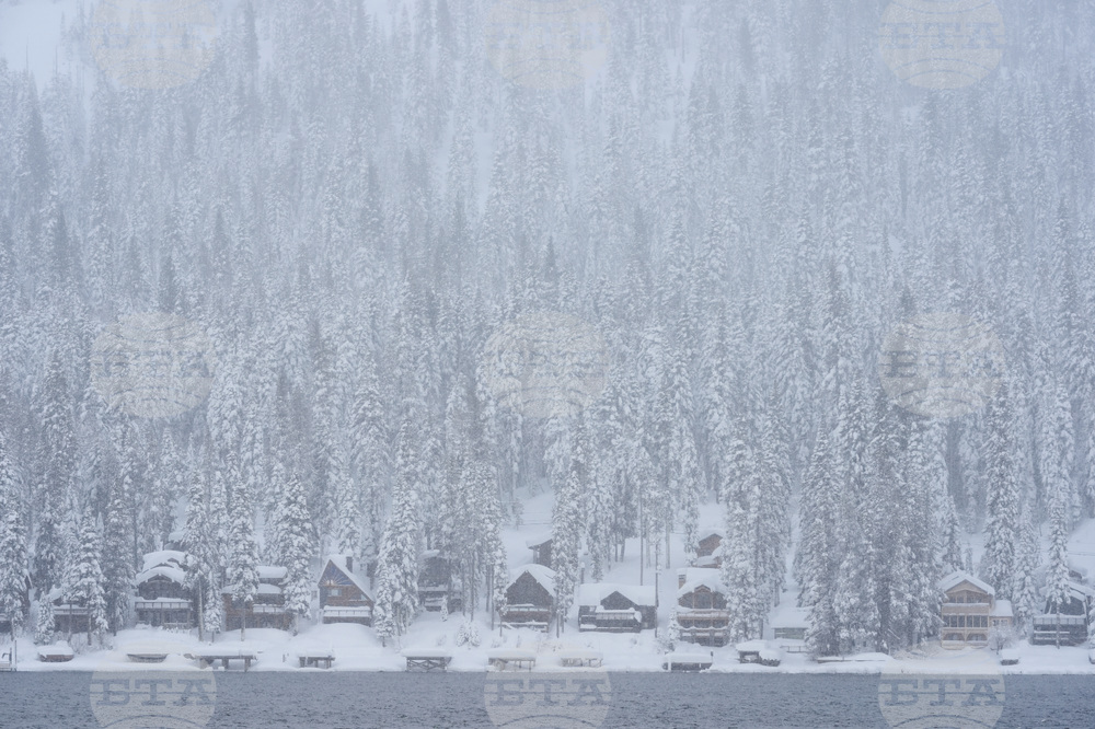 California Avalanche