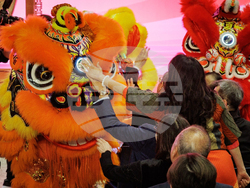 Hong Kong Lunar New Year