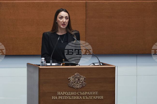 Зад името Билгин не стои казус, а дете, което е търсело да бъде чуто и държавата не е успяла да защити, каза Лариса Савова от „Величие“