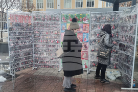 Търговище - базар - приют за кучета - благотворителност