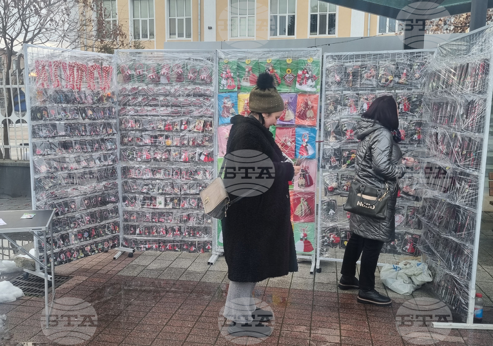 Търговище - базар - приют за кучета - благотворителност